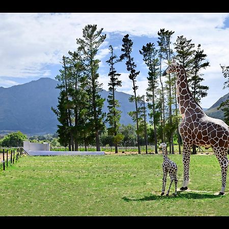 Auberge La Dauphine Guest House Franschhoek Esterno foto