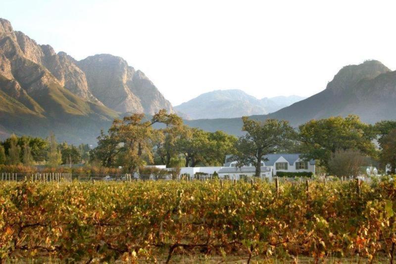 Auberge La Dauphine Guest House Franschhoek Esterno foto