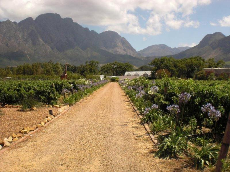 Auberge La Dauphine Guest House Franschhoek Esterno foto