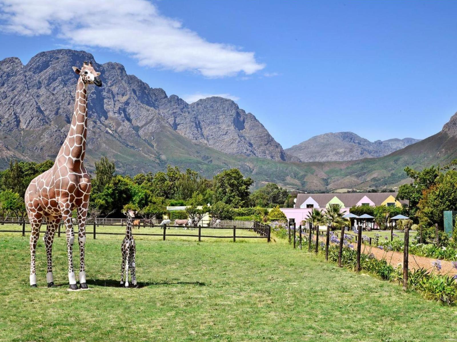 Auberge La Dauphine Guest House Franschhoek Esterno foto