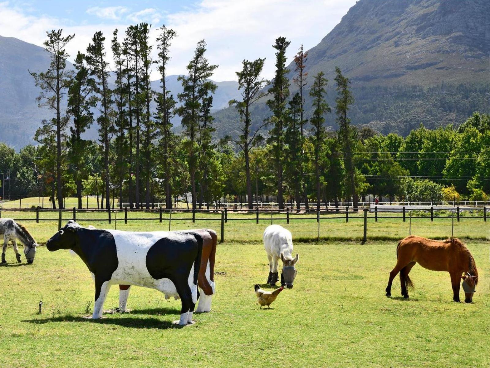 Auberge La Dauphine Guest House Franschhoek Esterno foto