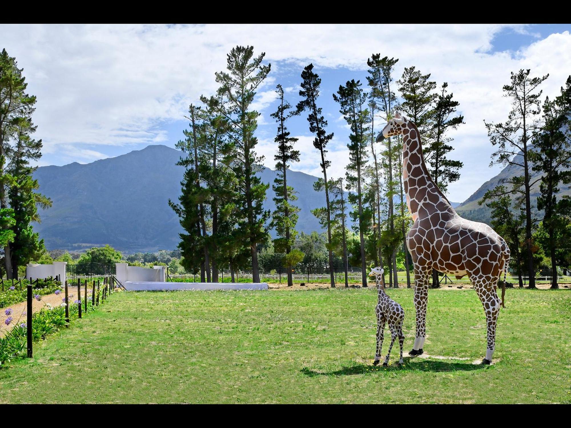 Auberge La Dauphine Guest House Franschhoek Esterno foto