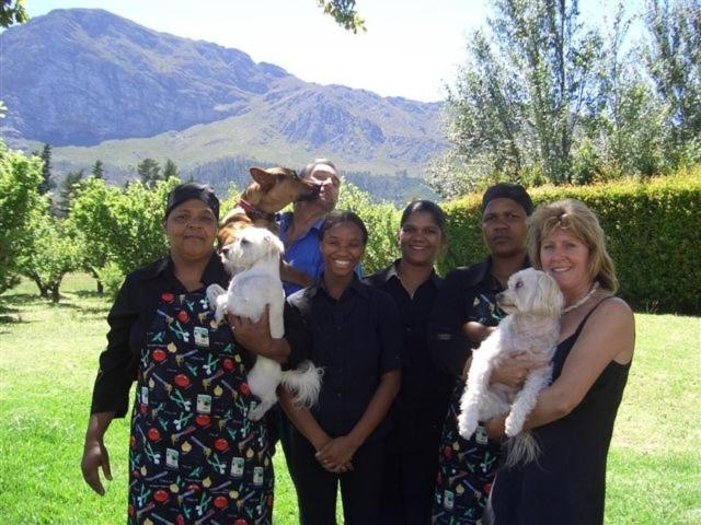 Auberge La Dauphine Guest House Franschhoek Esterno foto
